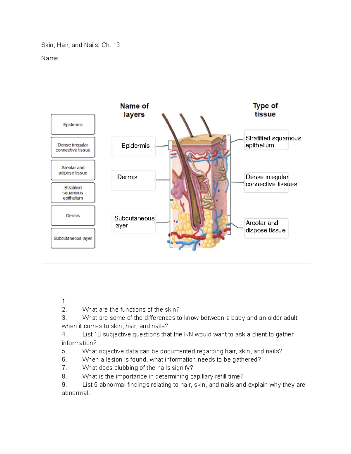 Case study Skin - skin - Skin, Hair, and Nails: Ch. 13 Name: 1. What ...