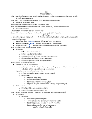 Chapter 11 Notes Anatomy and Physiology - Chapter 11 THE SENSES: THE ...