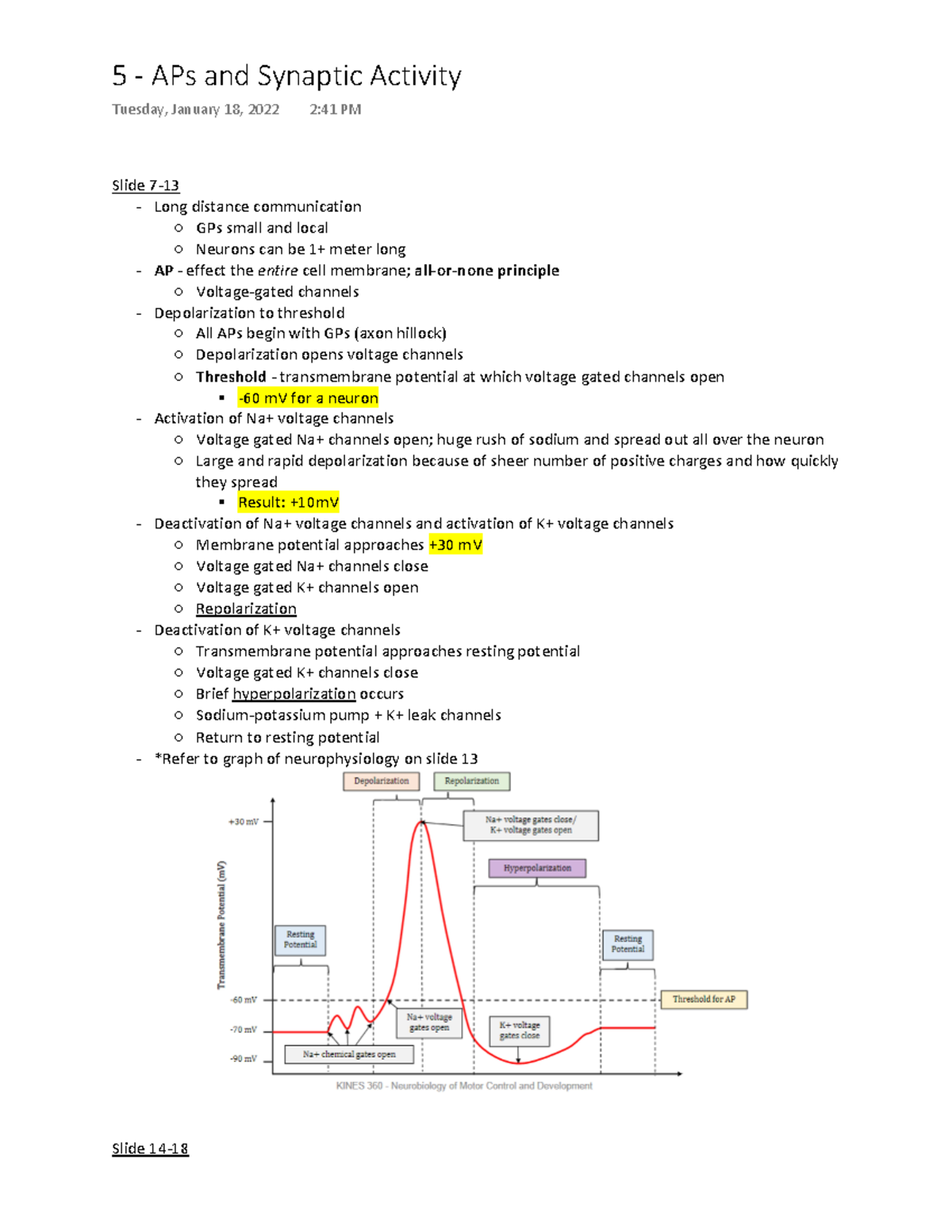 Action Potentials and Synaptic Activity - Slide 7- Long distance ...