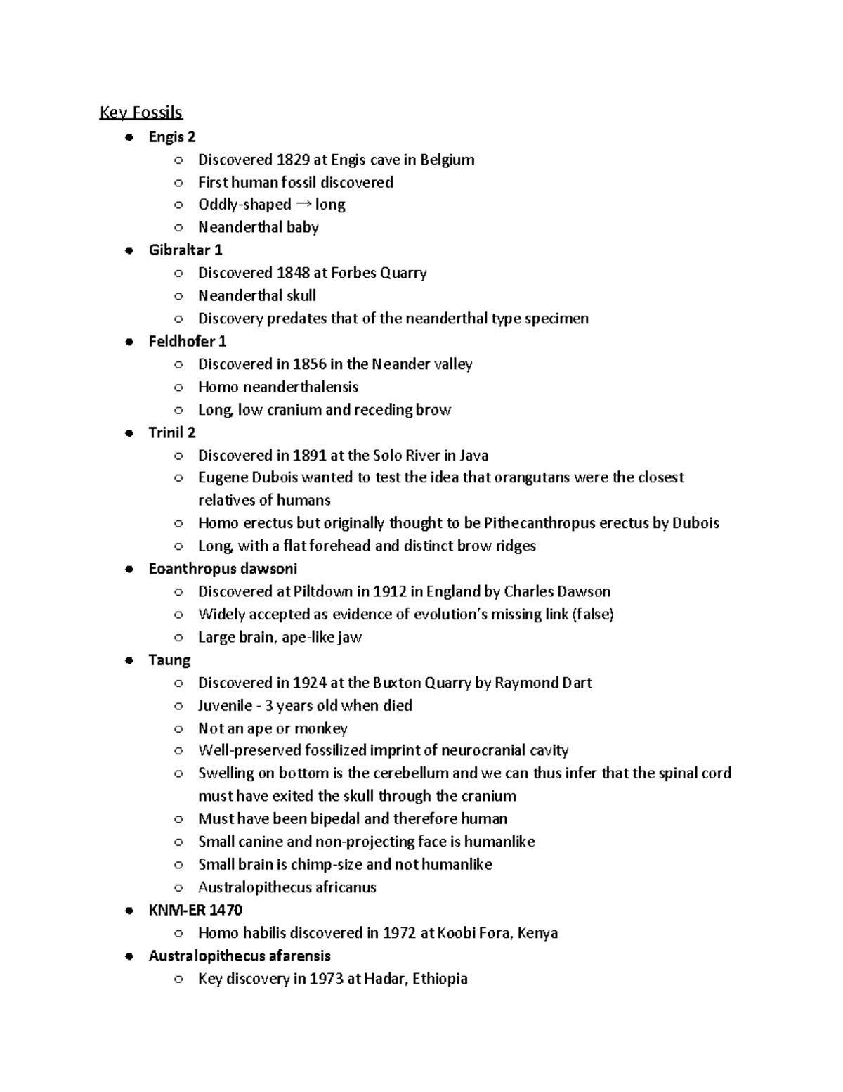 Human Evolution Final Study Guide - Key Fossils Engis 2 Discovered 1829 ...