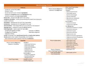 Parasitology table - HOOKWORMS Necator americanus “old world hookworm ...