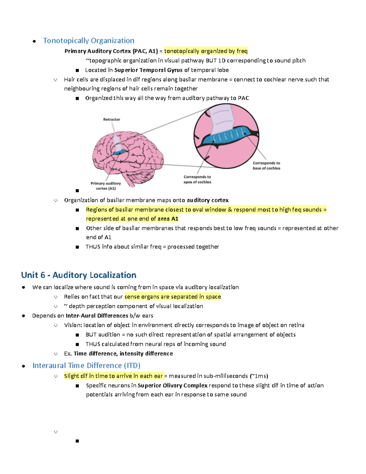 Final Psych notes-12 - Tonotopically Organization Primary Auditory ...