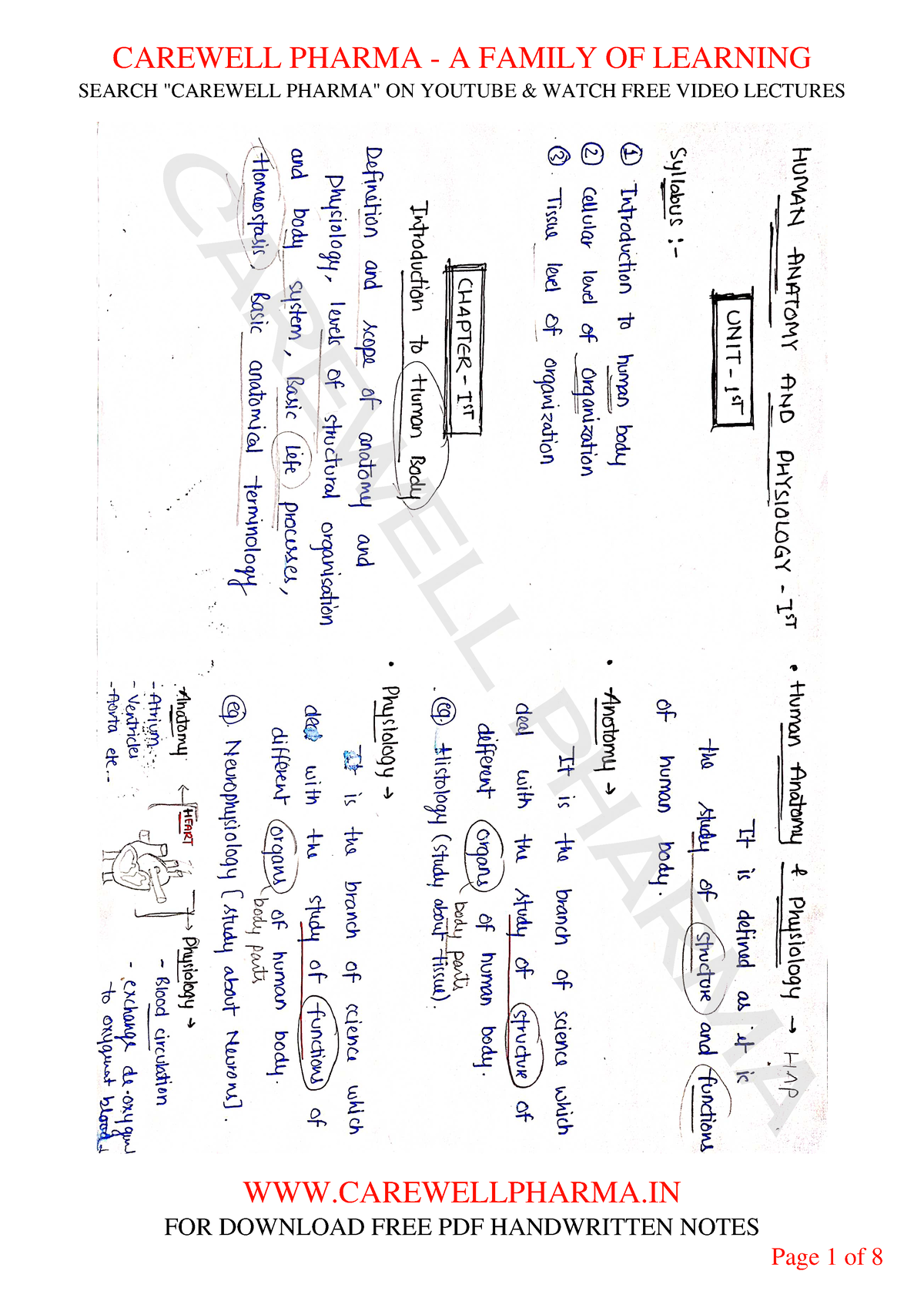 Chapter 1, Unit 1, Human Anatomy And Physiology 1, B Pharmacy 1st Sem ...