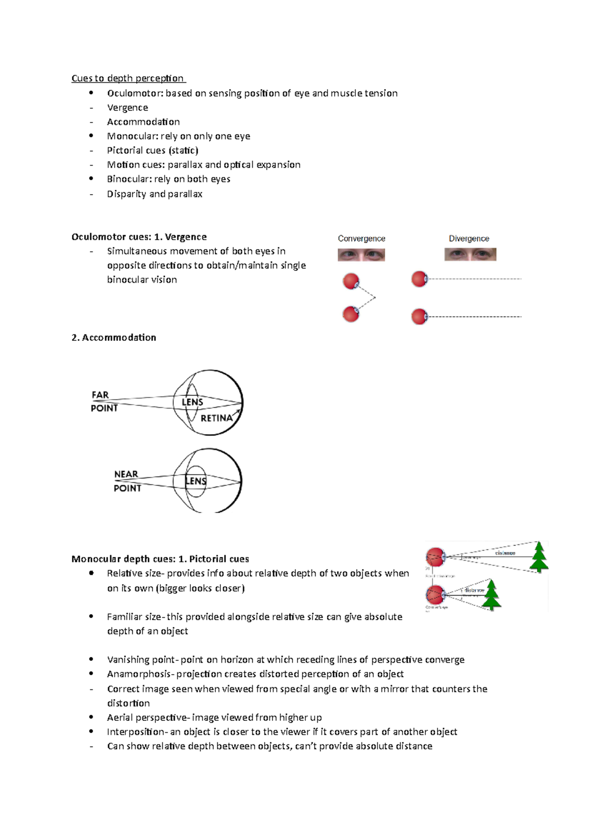 Depth Perception 7 n/a Cues to depth perception Oculomotor based