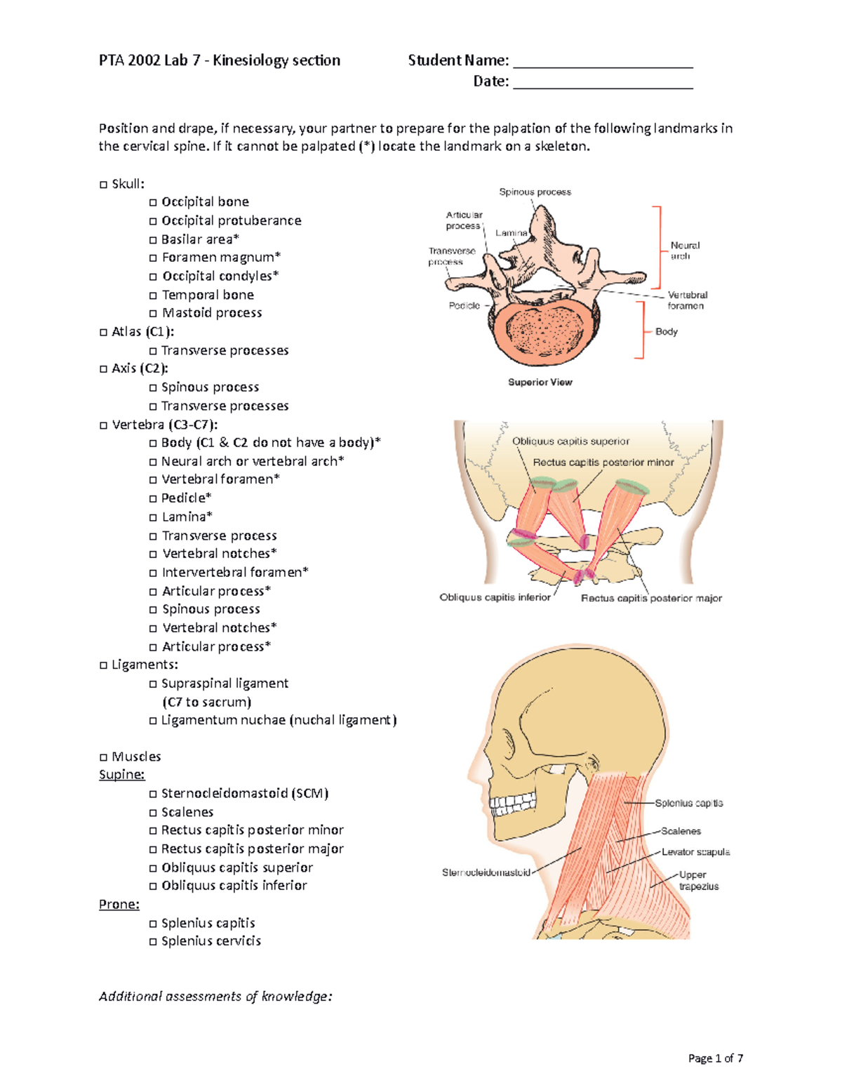 PTA Lab I- Kinesiology- Lab Week 7- Spine - Date ...