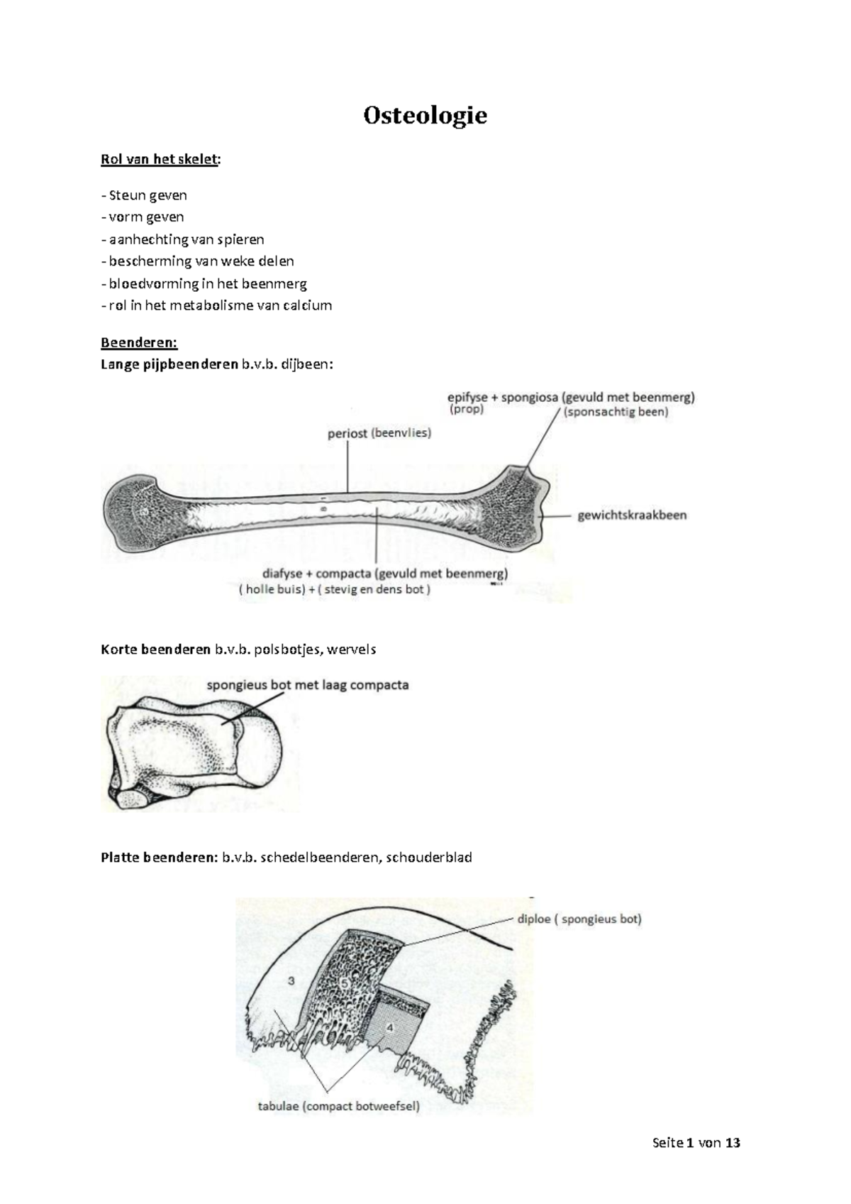 Anatomie-Samenvatting - Anatomie - VUB - Studocu