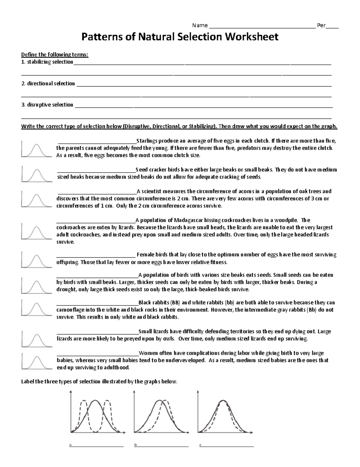 Handout - Patterns of Natural Selection - Patterns of Natural In Types Of Natural Selection Worksheet