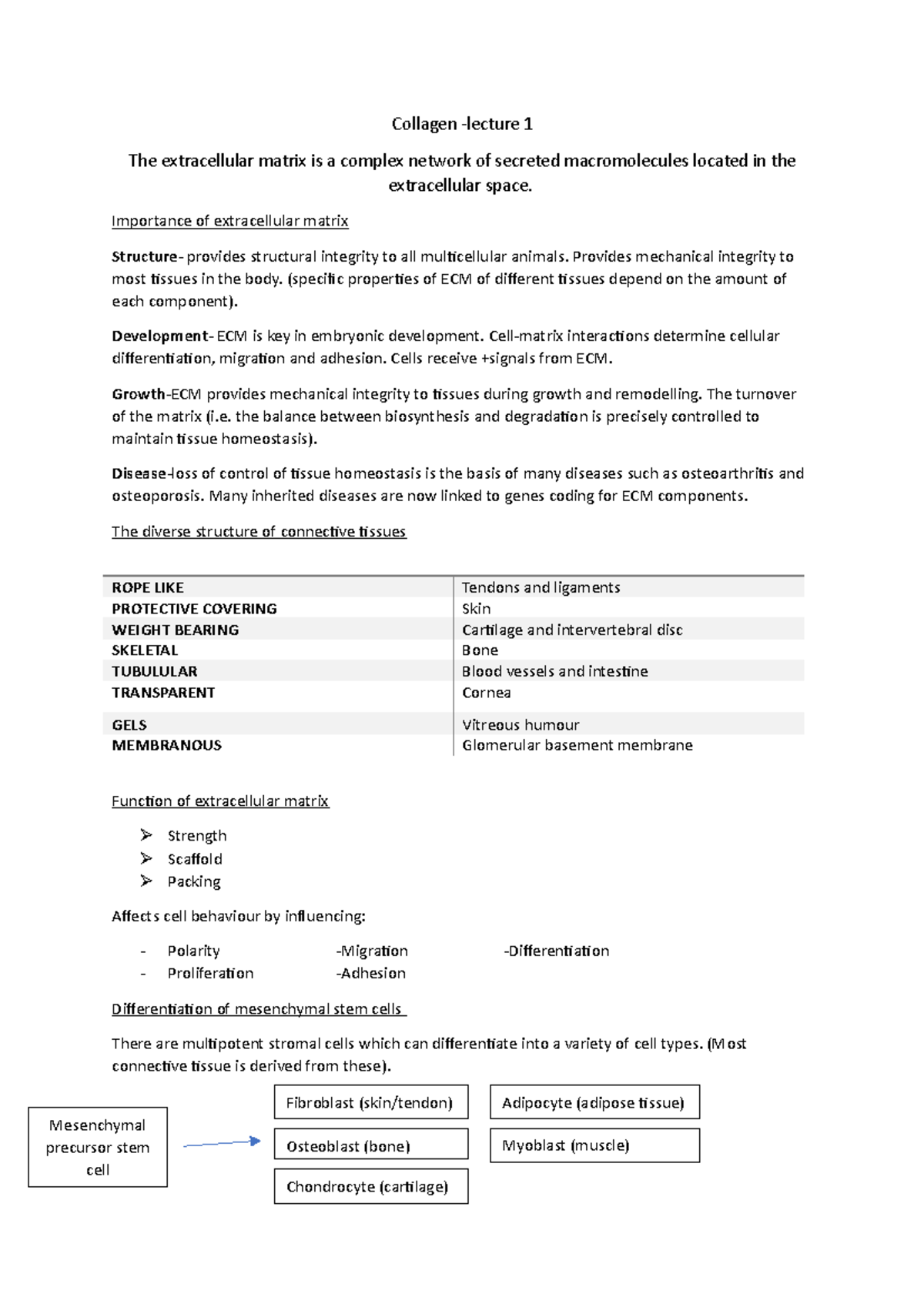 Connective Tissues Intro Collagen lecture 1 The Extracellular Matrix