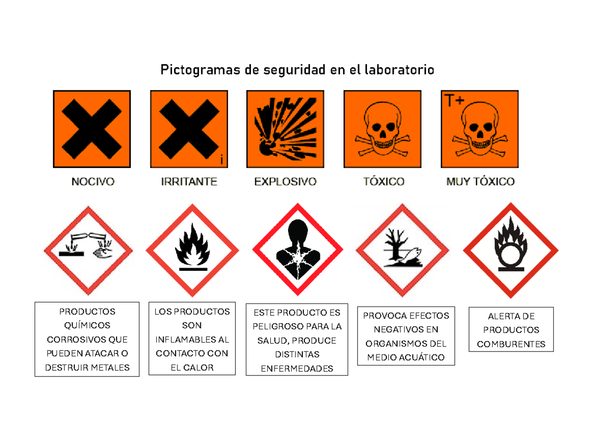 Pictogramas De Seguridad En El Laboratorio Qu mica General 
