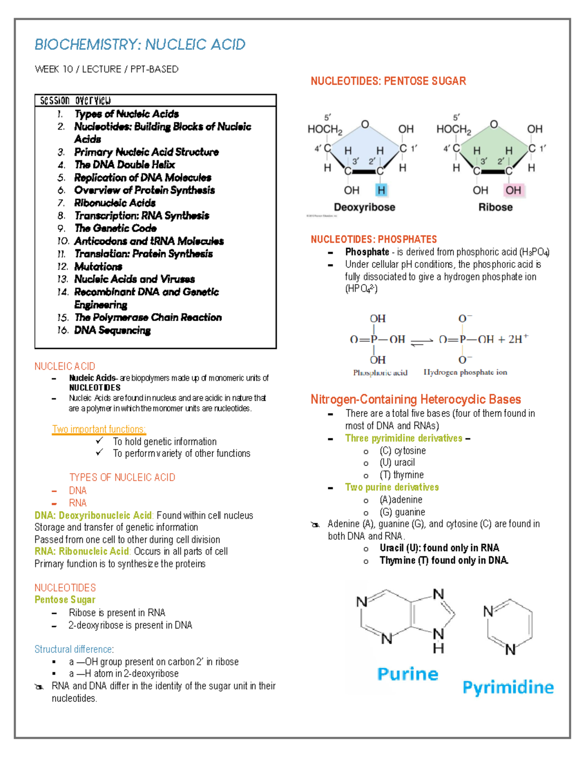 W9 Nucleic ACID Lecture notes 9 WEEK 10 / LECTURE / PPTBASED