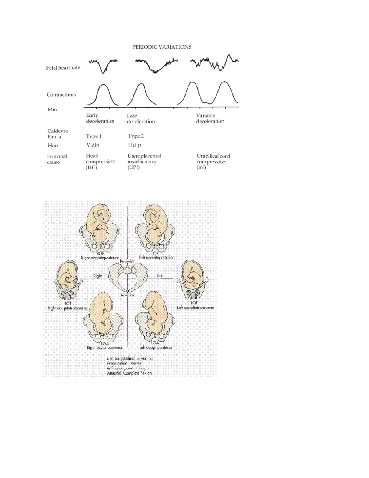 ob-fhr-ob-maternal-fetal-heart-rate-positioning-nur-101-studocu