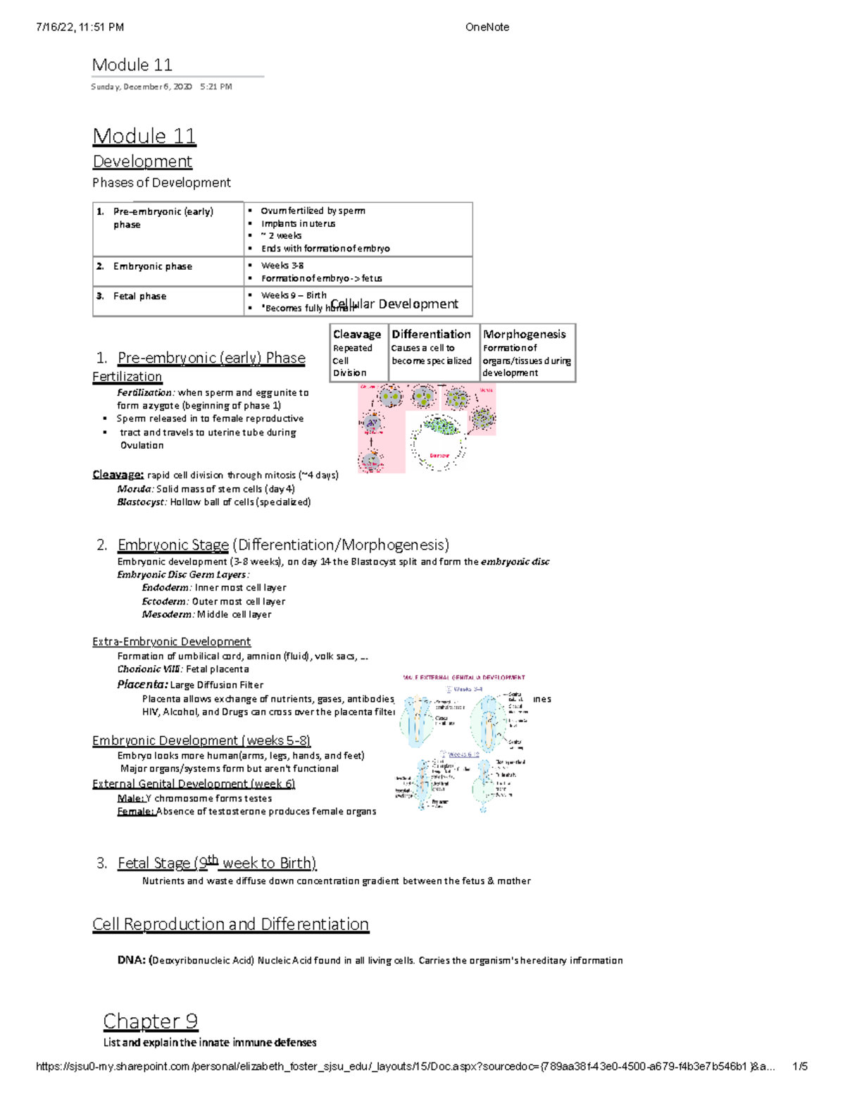 Biology Chapters 9-21 - Module 11 Sunday, December 6, 2020 5:21 PM ...