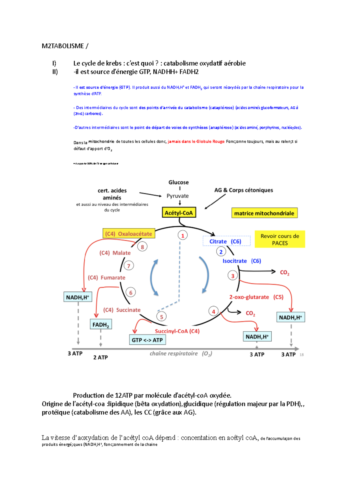 M2 Tabolisme - Fiche Pour Chapitre - M2TABOLISME / I) Le Cycle De Krebs ...