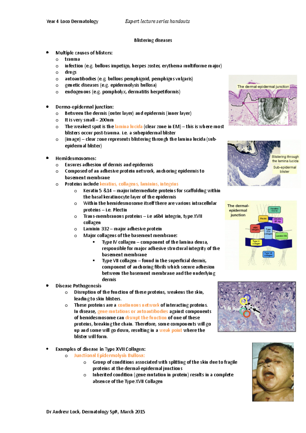 2-blistering-skin-conditions-a100-qmul-studocu