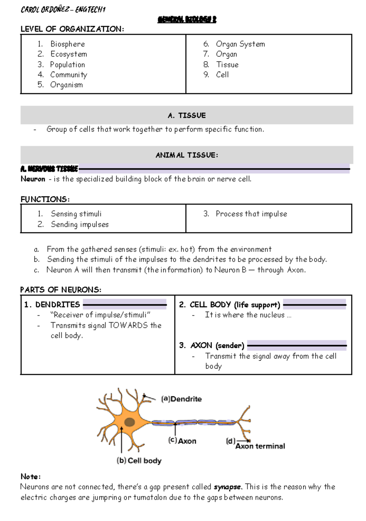 General Biology 2 Notes - CA󰈤󰈮󰈳 OR󰉍󰈮Ñ󰉈󰈁 - EN󰉂󰈙󰉋C󰉀 1 GE󰈰󰉋󰈣󰉚L BI󰈮󰈴󰈭󰉁Y 2 ...