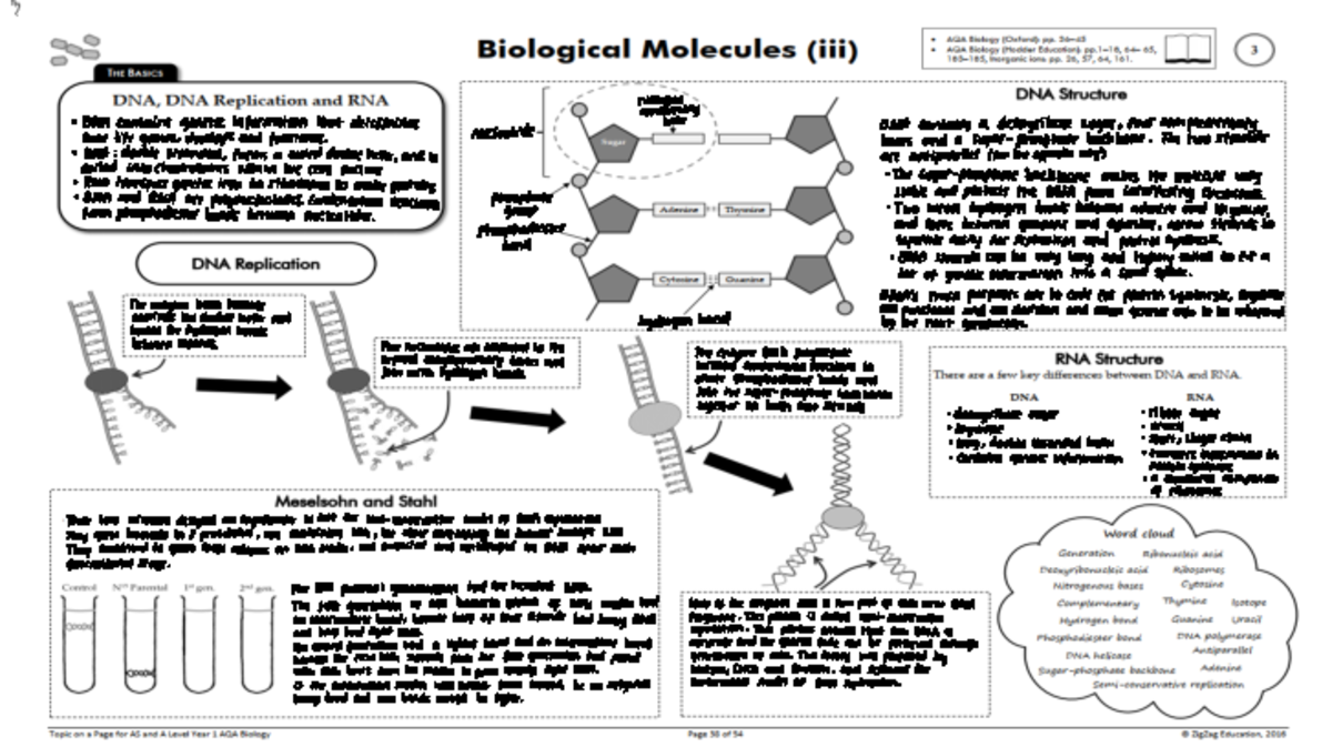 Nucleic acids bio nitrogen containing · DNA contains