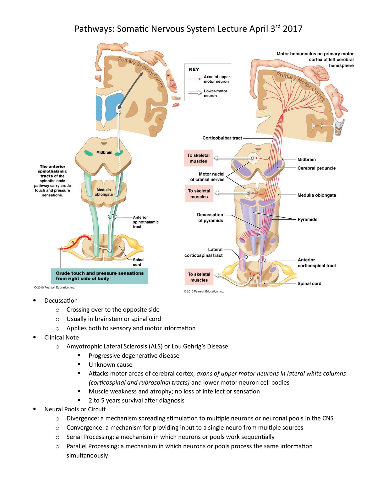 function of somatic nervous system
