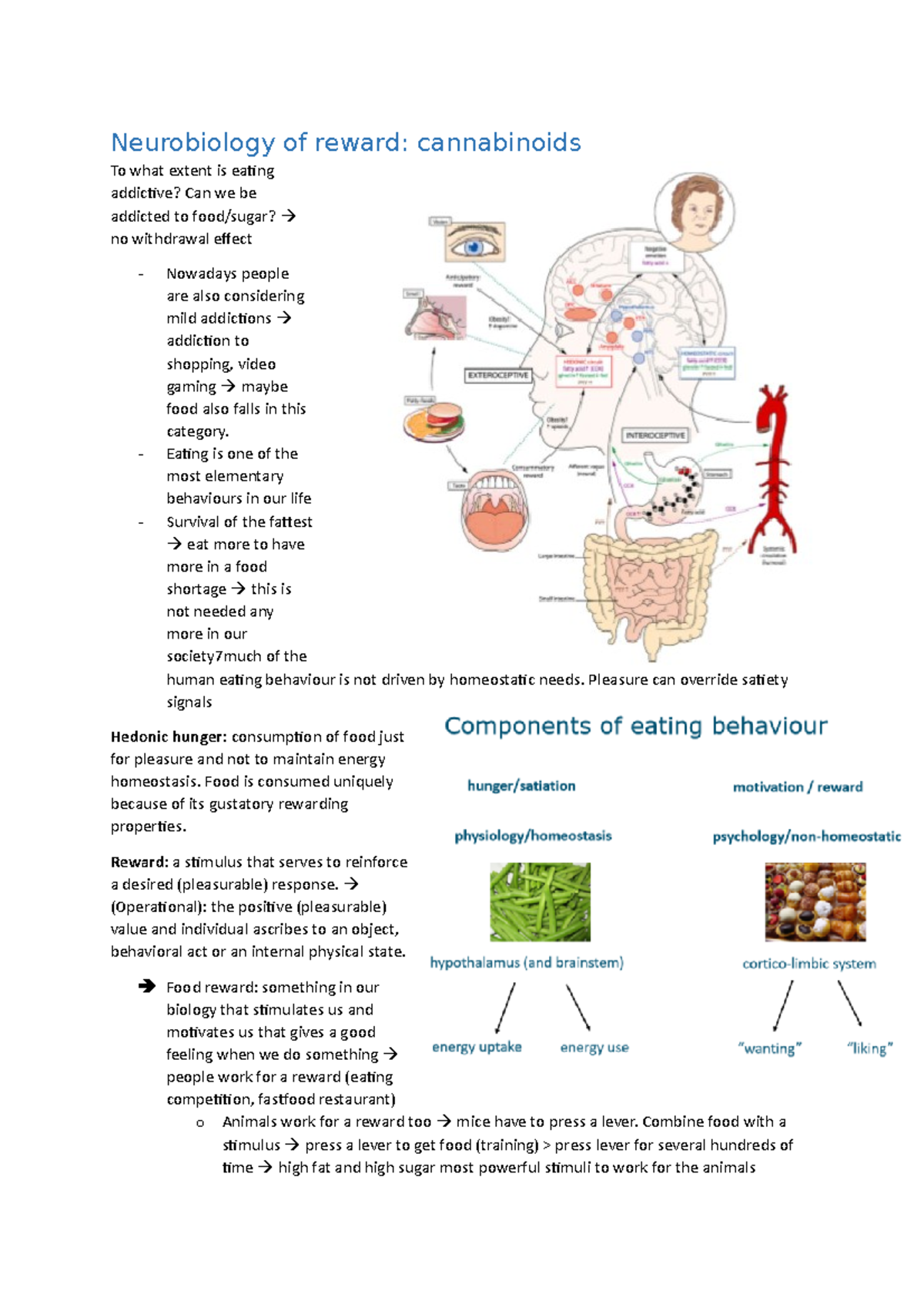 Neurobiology Of Reward Endocannabinoids Neurobiology Of Reward Cannabinoids To What Extent Is 