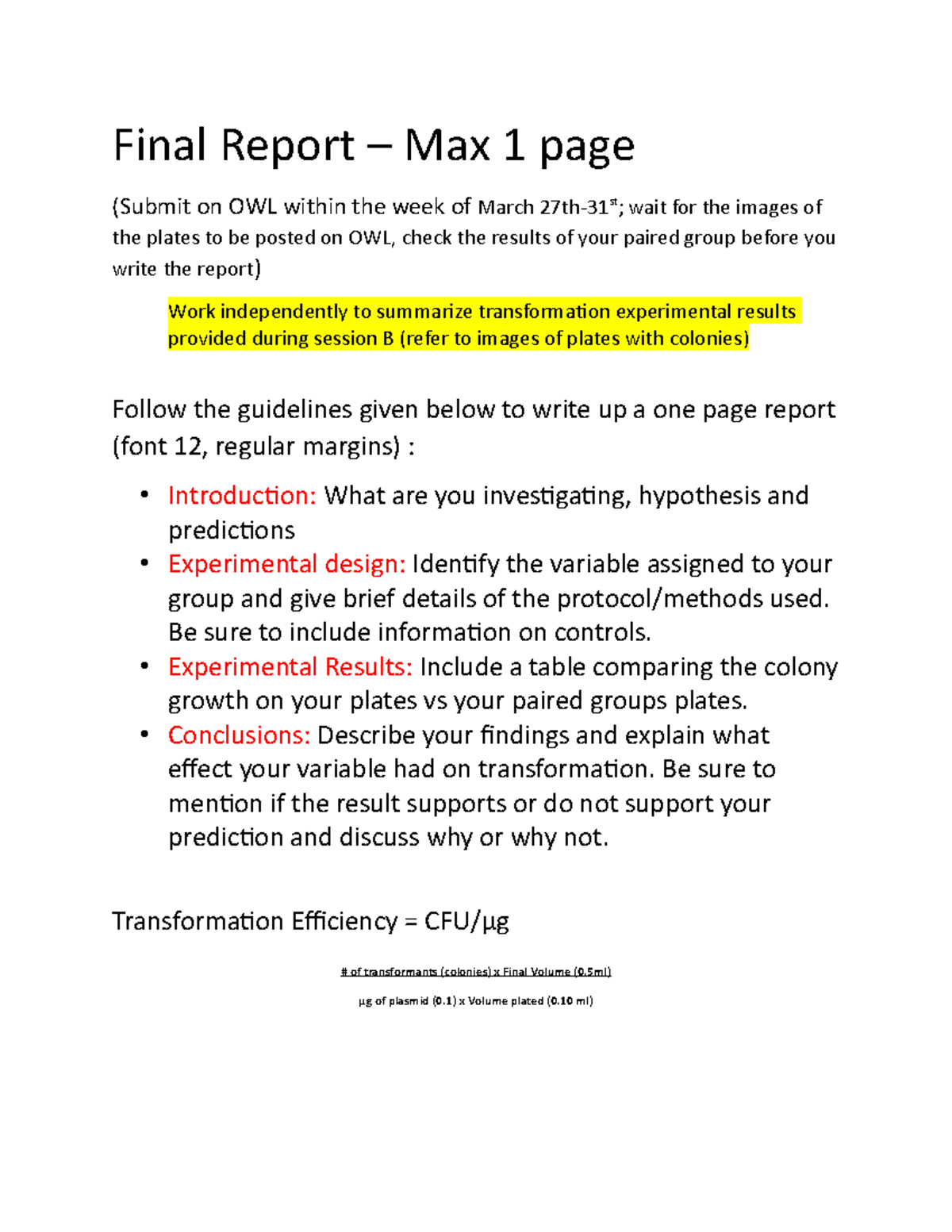 Transformation+Final+Report+2023 - Final Report – Max 1 page (Submit on ...