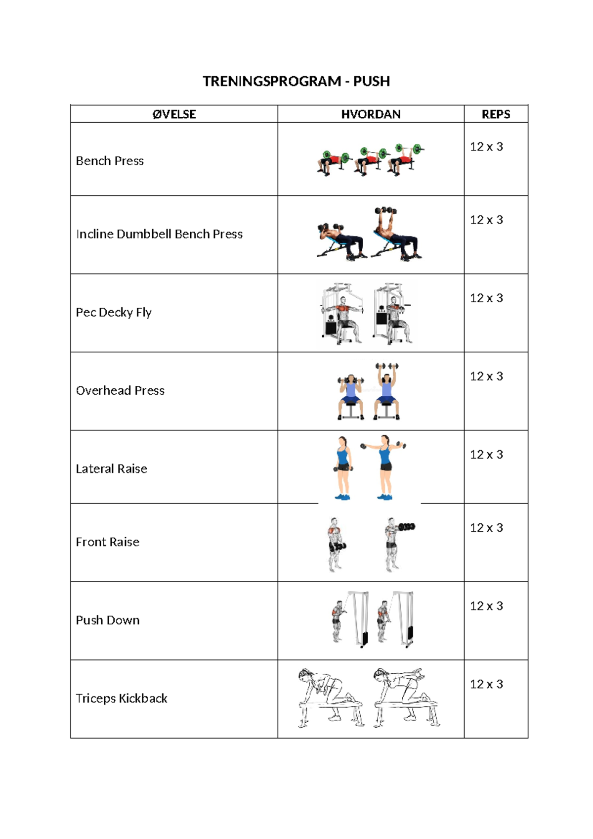 Treningsprogram push pull legs abs - 1TREL01 - TRENINGSPROGRAM - PUSH ...