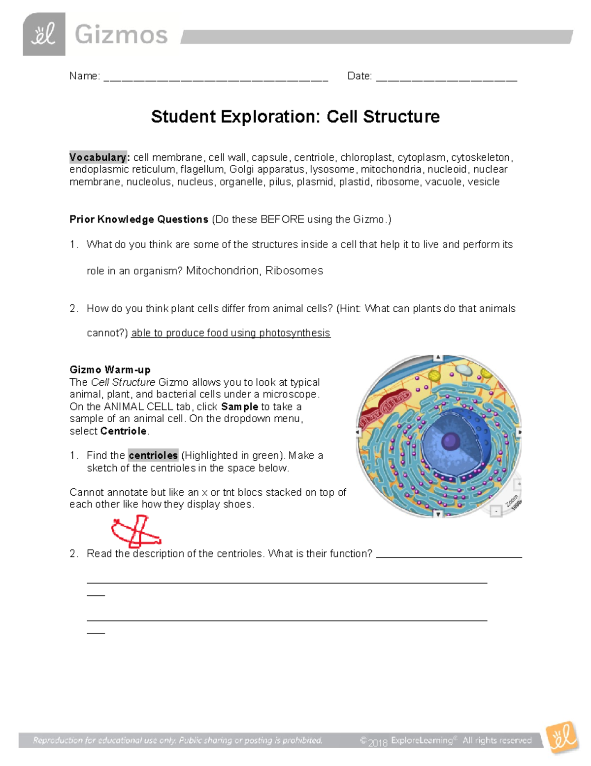 Cell Structure SE - Name: ______________________________________ Date