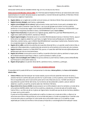 Haz de RX - haz de radiacion para tecnicos radiologos - © CSN- 2009 ...