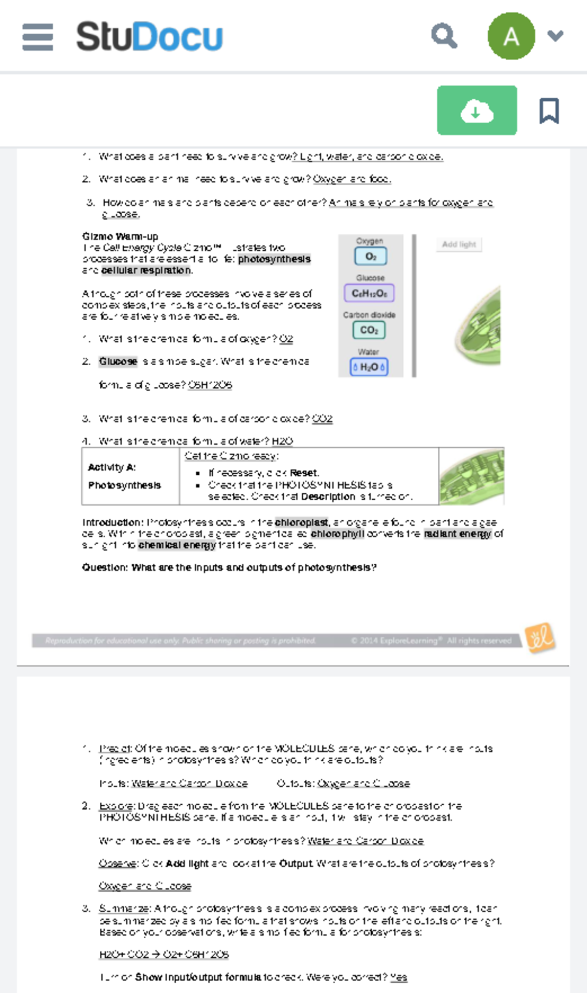 Group 20 Case study - Inside Scoop - BLA5480 - Studocu