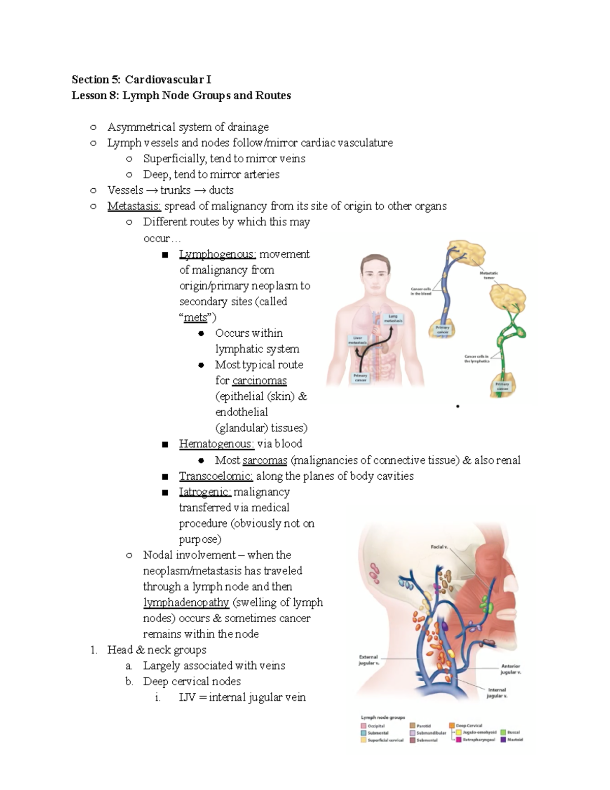 32- Lymph Node Groups and Routes - Section 5: Cardiovascular I Lesson 8 ...