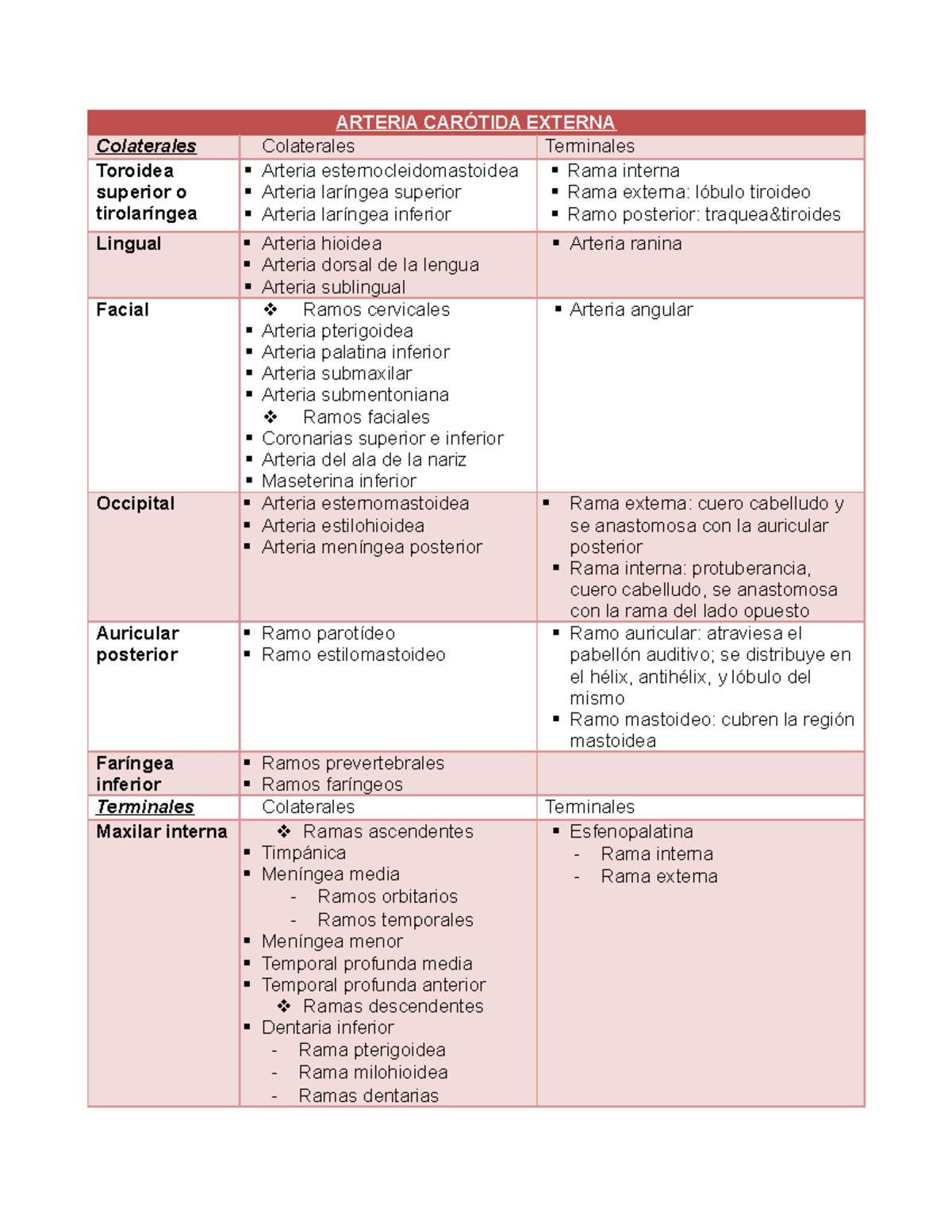 Arteria dorsal de la lengua