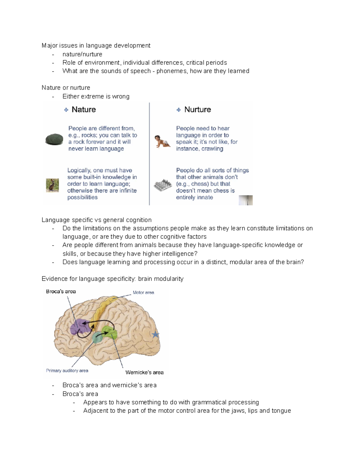 Lecture 15 - Language 1 - PSYC20008 - Unimelb - Studocu