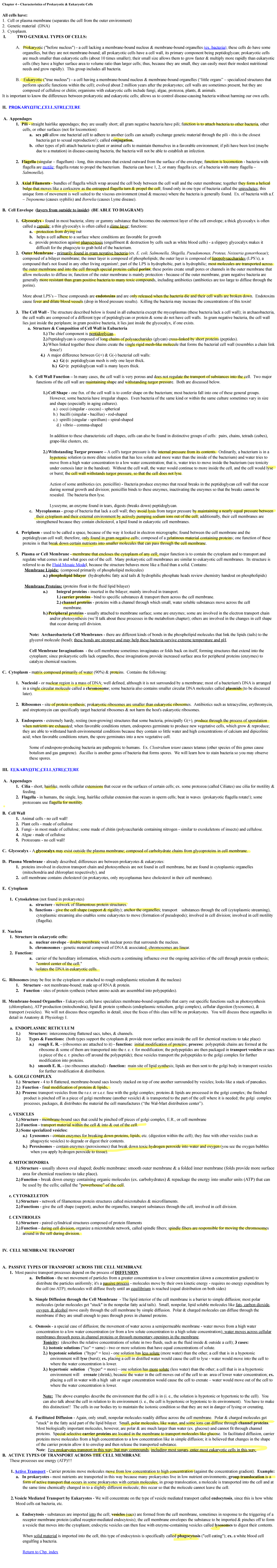 Chapter 4 Textbook Notes Biol 233 Microbiology For Nurses Studocu