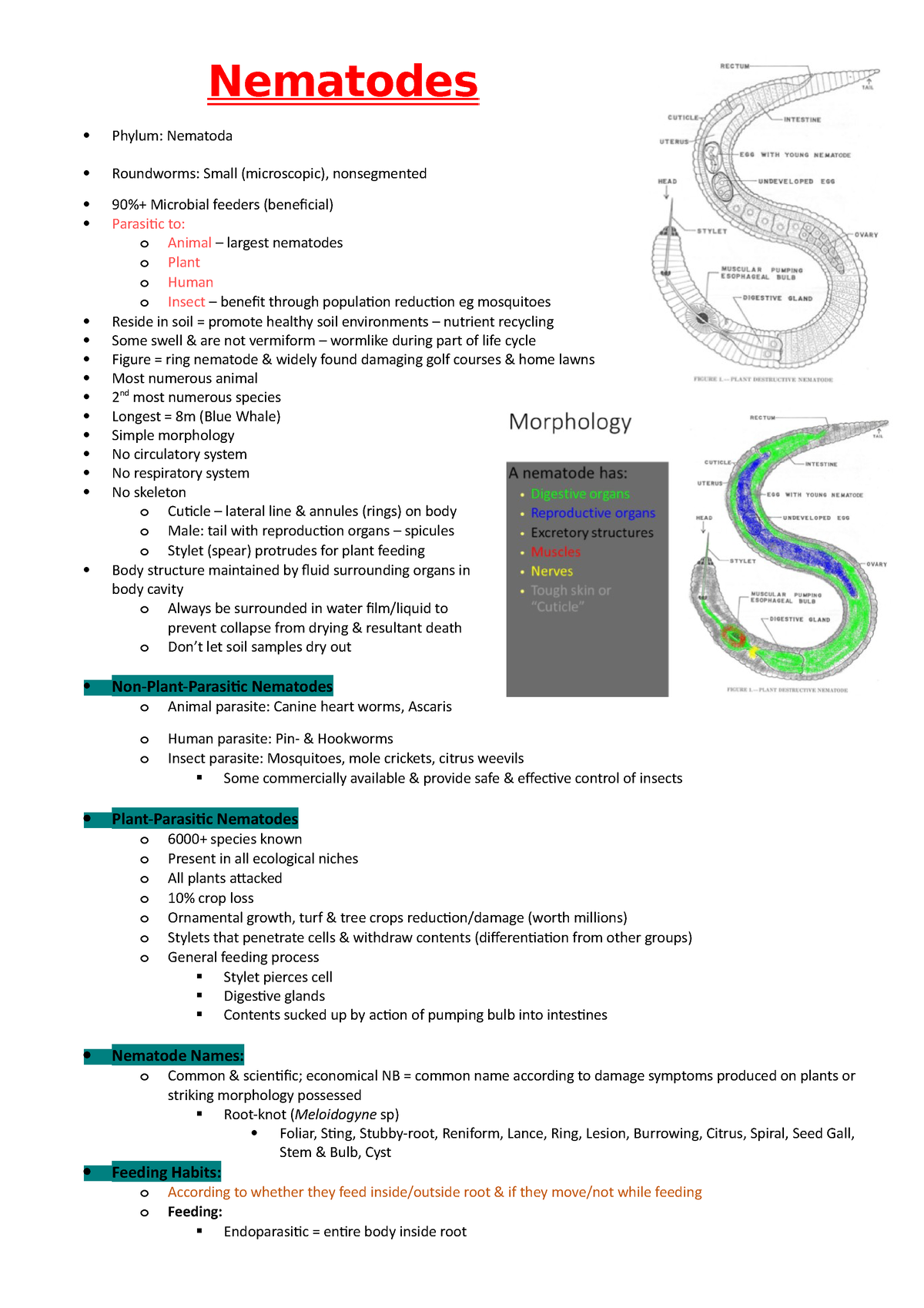 essay questions on nematodes