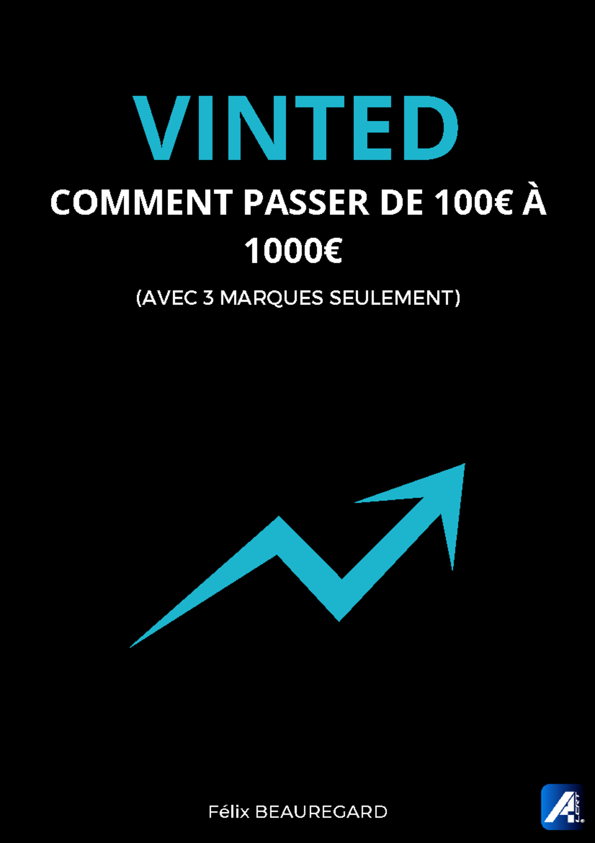 Exemple de piéce qui se vendent bien sur vinted COMMENT PASSER DE 100€ À 1000€ VINTED (AVEC 3
