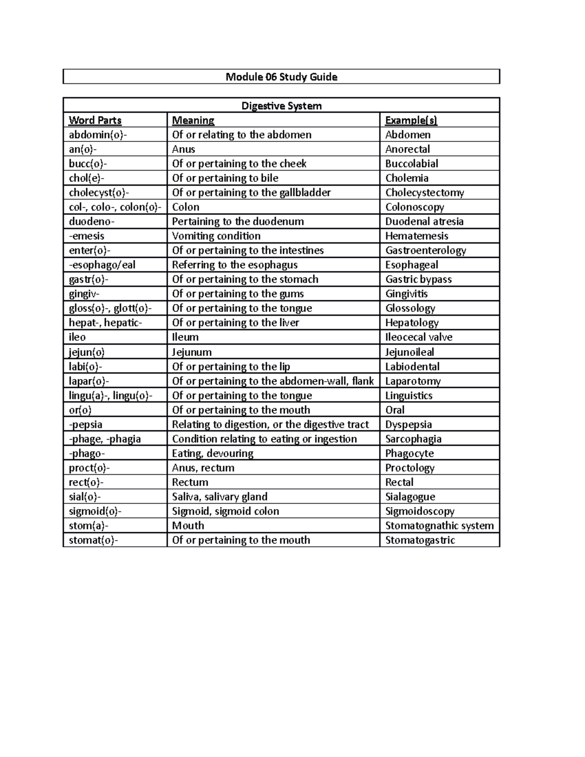 Module 06 Study Guide - Module 06 Study Guide Digestive System Word ...