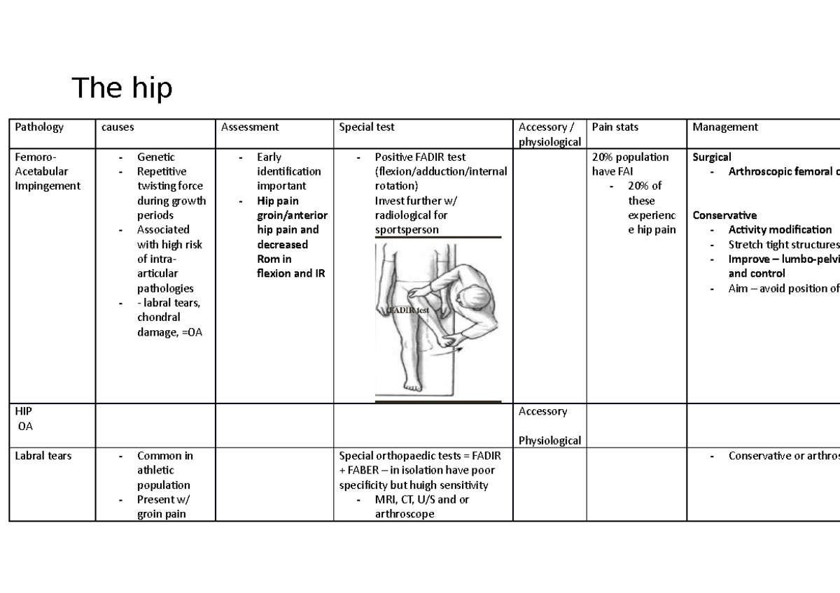 The Hip - Special Tests Etc - The Hip Pathology Causes Assessment ...