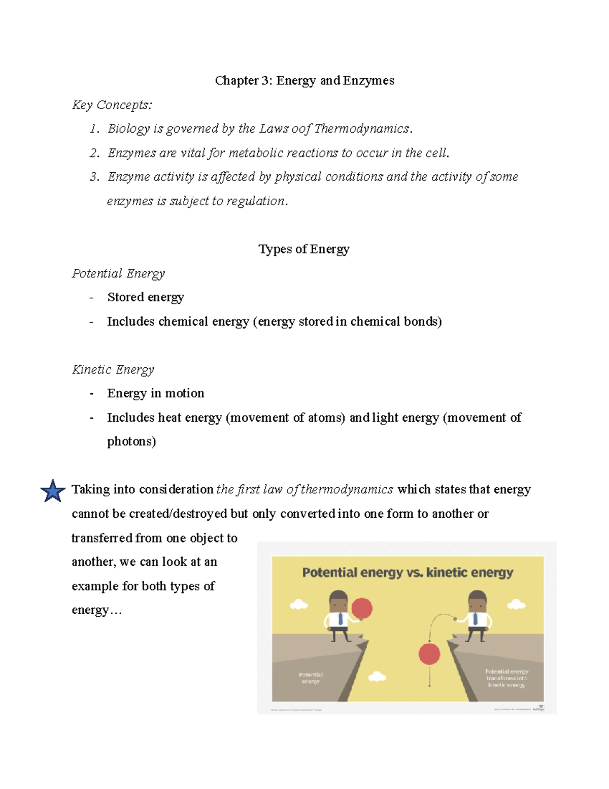 Chapter 3 - Energy And Enzymes - Chapter 3: Energy And Enzymes Key ...