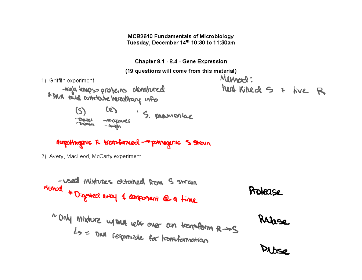 Exam 4 Study Guide - MCB2610 Fundamentals Of Microbiology Tuesday ...