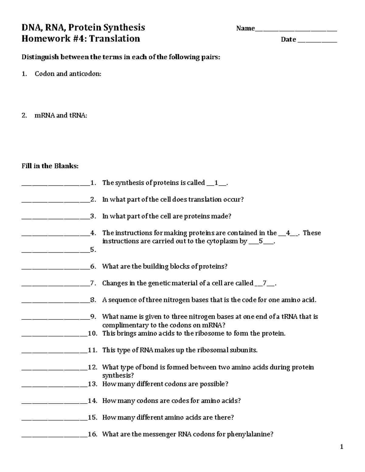 Translation and Protein Synthesis Homework DNA, RNA, Protein