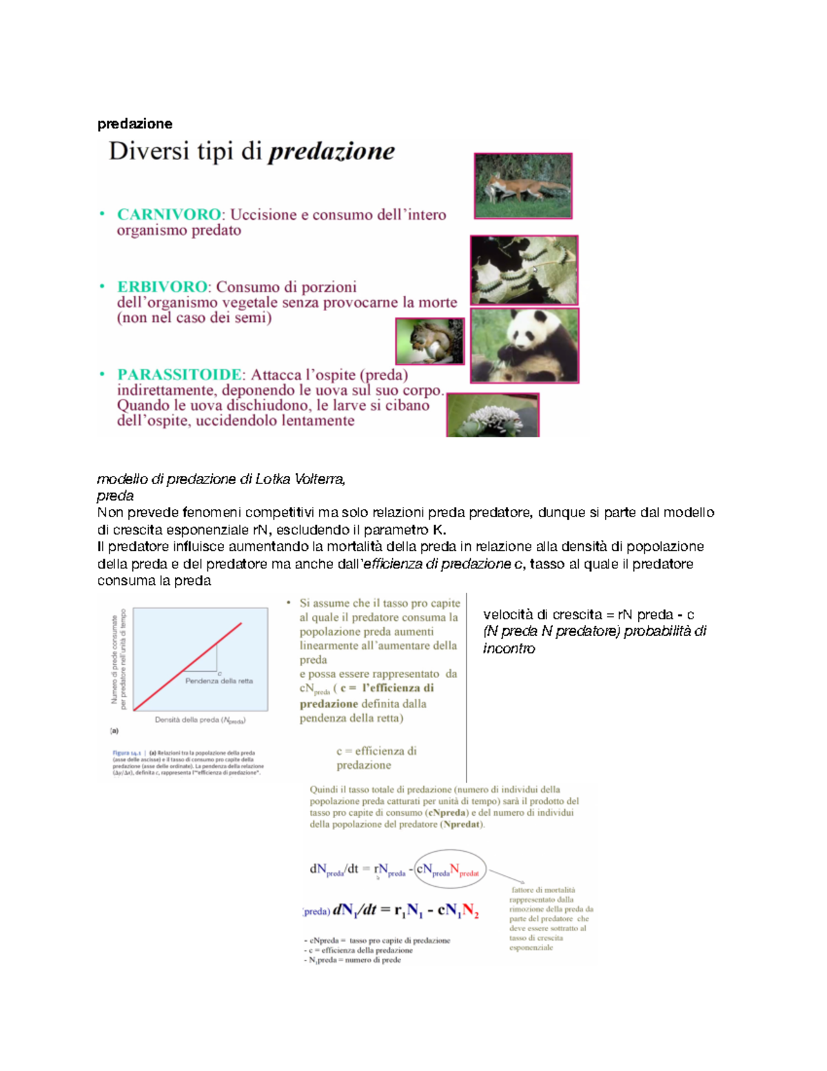 modelli di predazione - predazione modello di predazione di Lotka ...