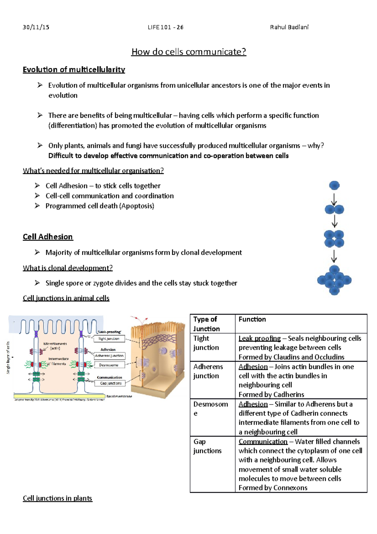 26-how-do-cells-communicate-how-do-cells-communicate-evolution-of