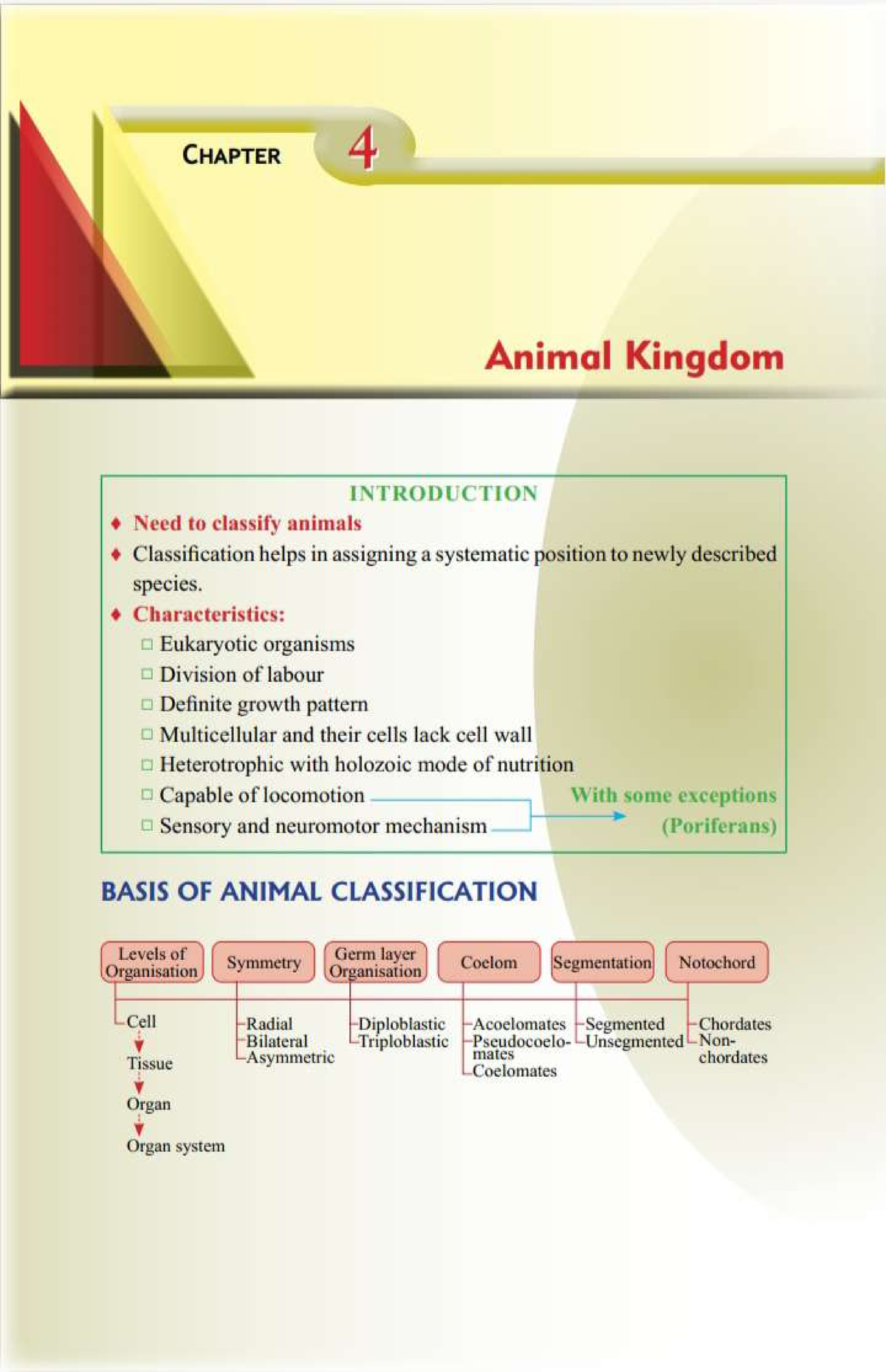 animal kingdom - CHAPTER 4 Animal Kingdom INTRODUCTION Need to classify ...