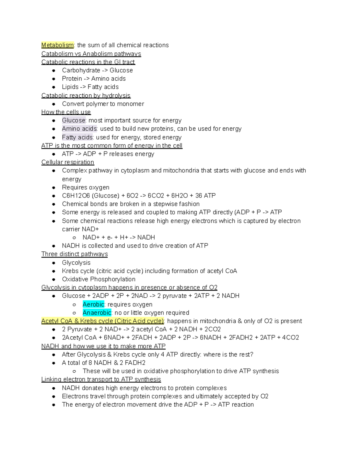 Metablolism - metabolism - Metabolism: the sum of all chemical ...