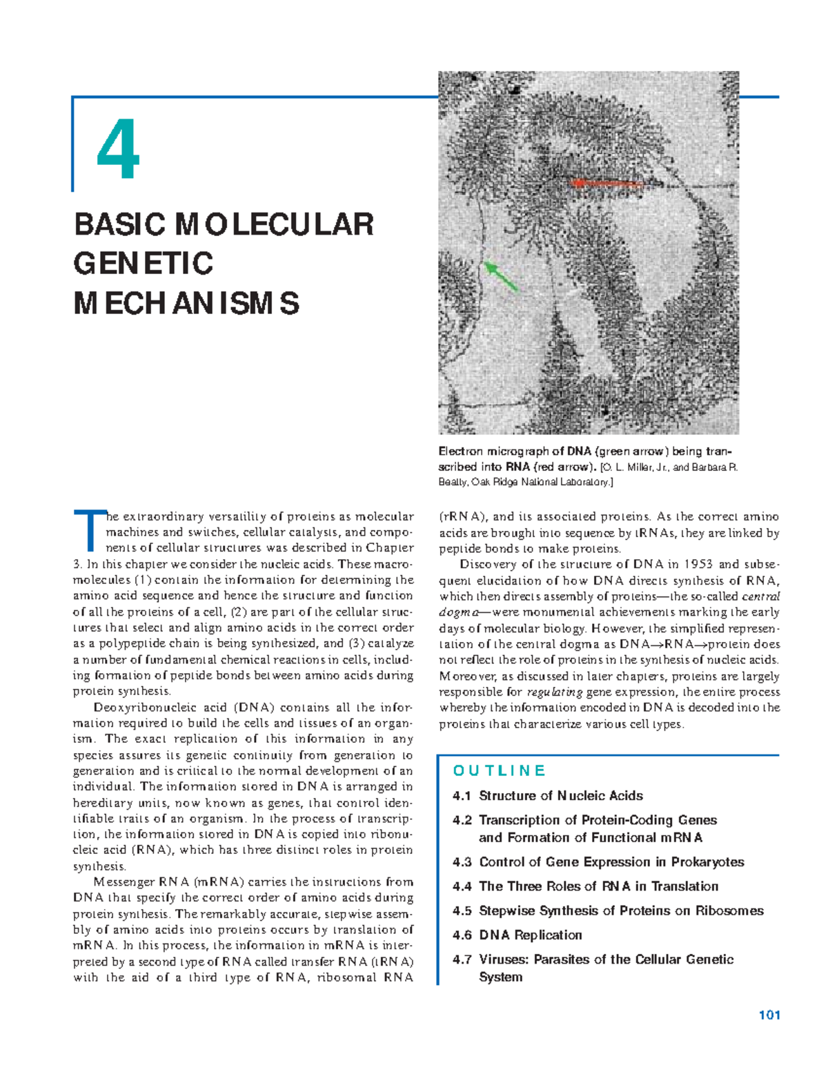 Basic Molecular genetic mechanisms - 4 Electron micrograph of DNA ...