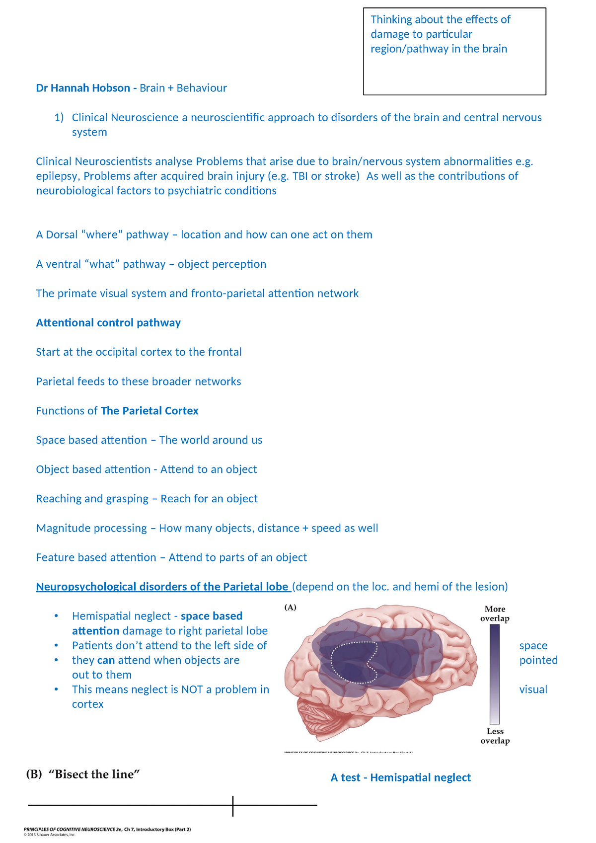 Dr HH - B+ B Summary - Module On Parietal Lobe - Dr Hannah Hobson ...