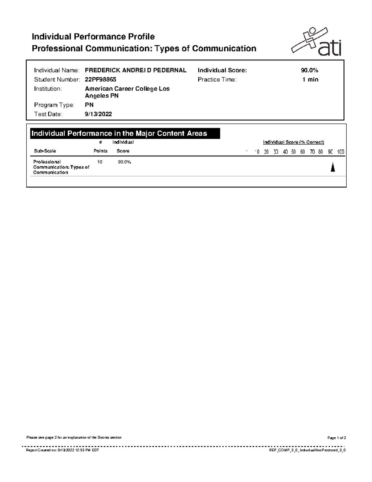 Report (27) - Documents - Individual Performance Profile Professional ...