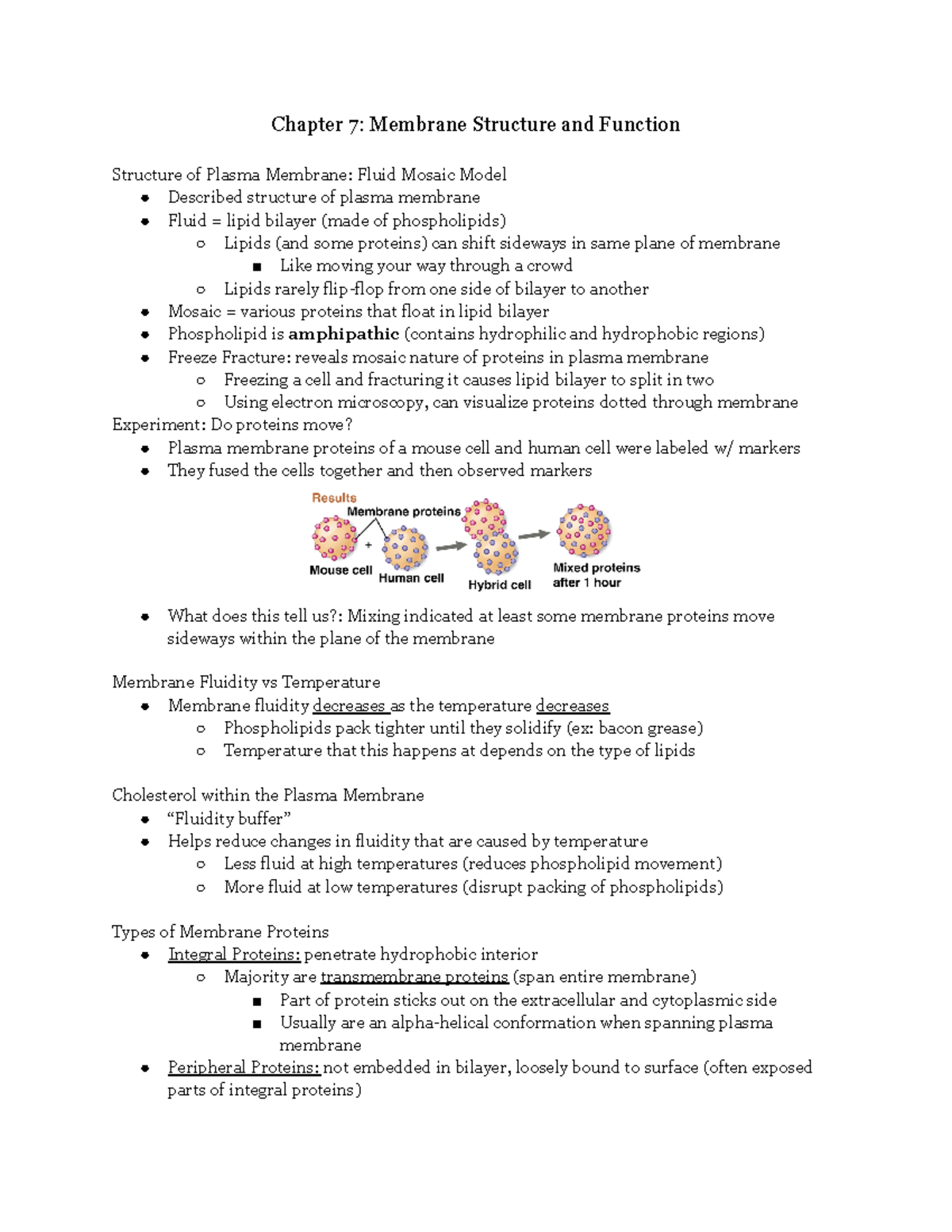 Chapter 7 Membrane Structure And Function - Chapter 7: Membrane ...