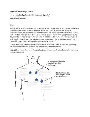 Lab 6 Handout for Anatomy Lab - Alvernia University Bio 118 Lab # 6 ...