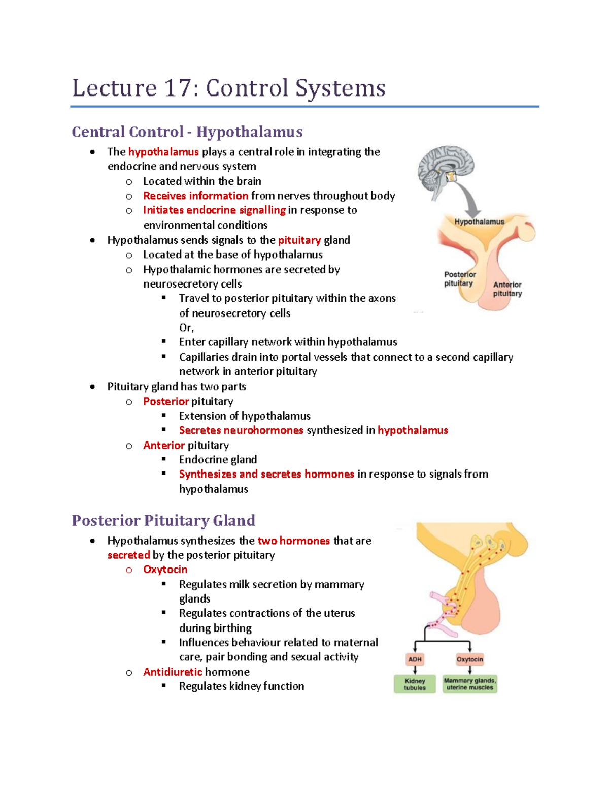 Lecture 17 - Lecture 17: Control Systems Central Control - Hypothalamus ...