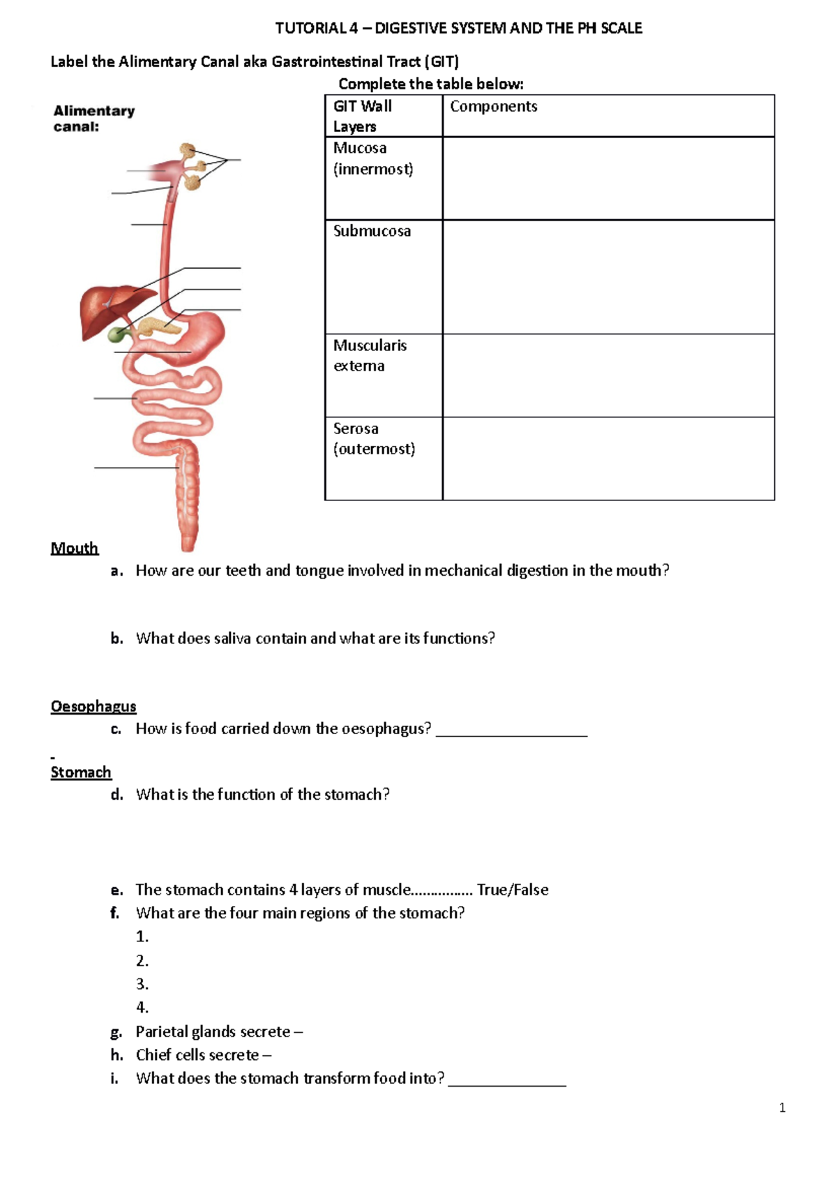 tutorial-4-worksheet-tutorial-4-digestive-system-and-the-ph-scale