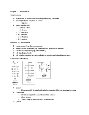 Biochem Ch 7 Blood - ch 7 - Chapter 7 Blood Blood - aqueous solution ...